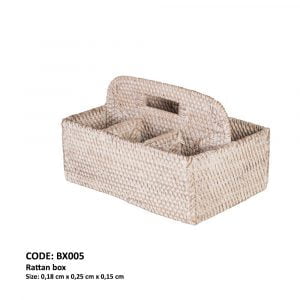 Petite boîte de rangement avec compartiments en rotin beige