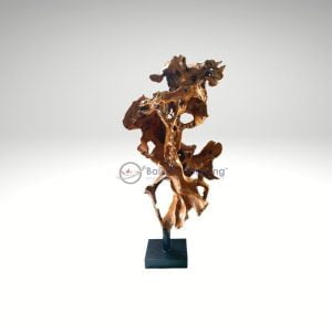 Wooden Root Decoration