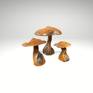 Un Ensemble De Grand Champignon En Bois