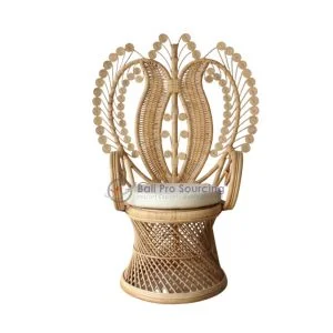 Belle chaise paon