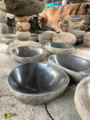 Assiette de nourriture pour chien