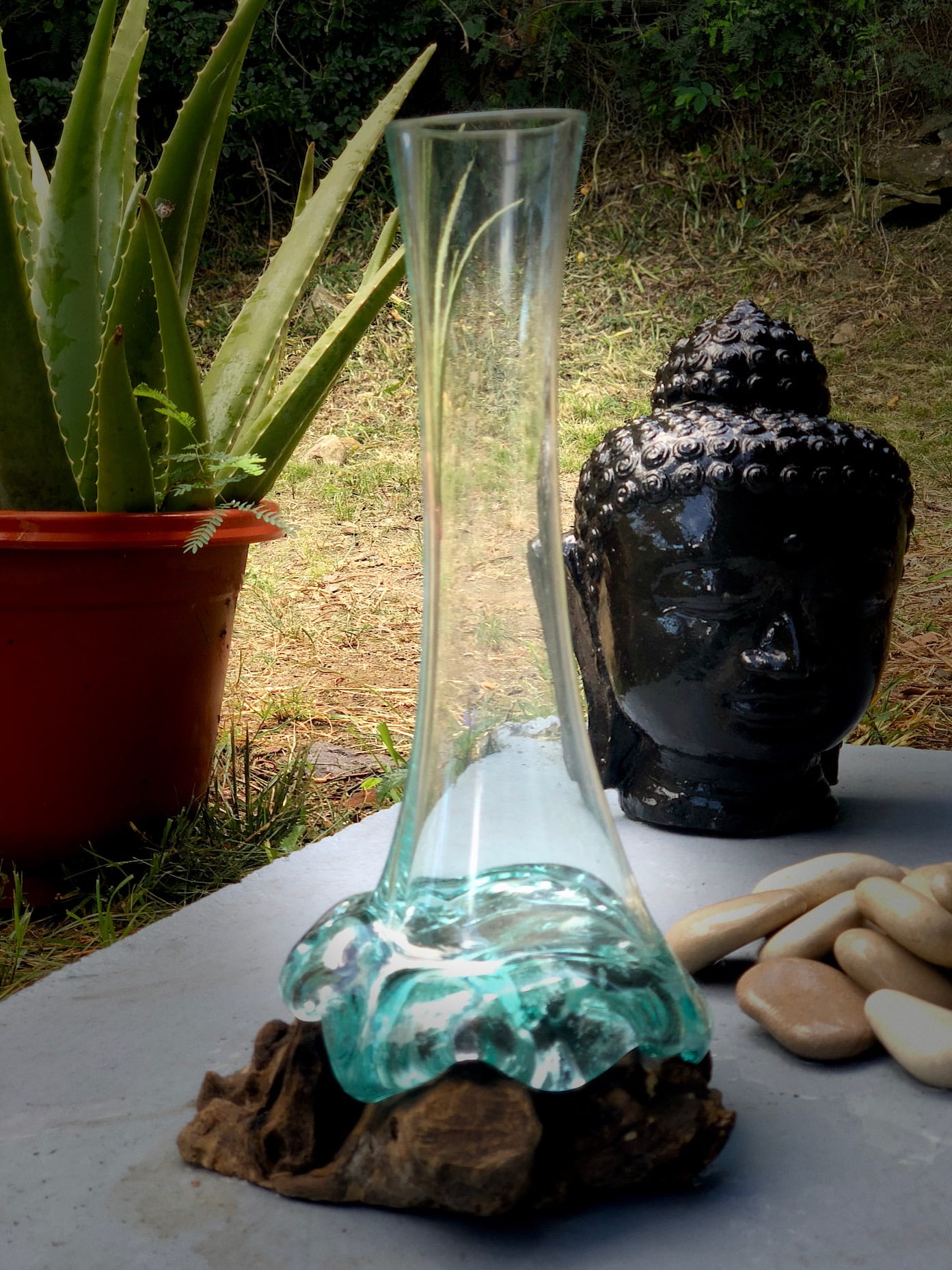 Décoration en verre avec racines 8