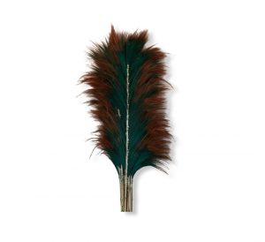 Rayung Gradation Couleur