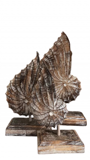 Ensemble de décoration artisanale en coquillage