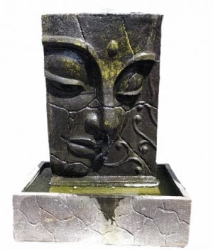 Small Face’s fountain