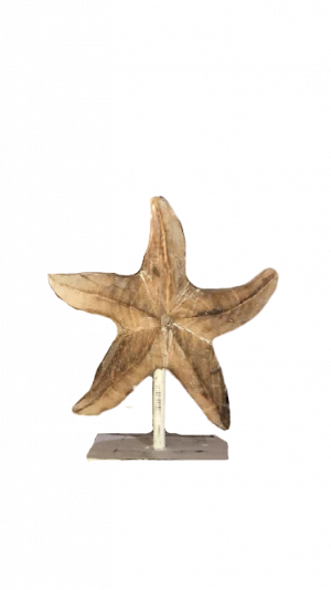 Décoration étoile de mer