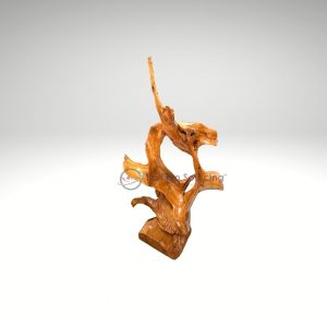 Wooden Root Decoration