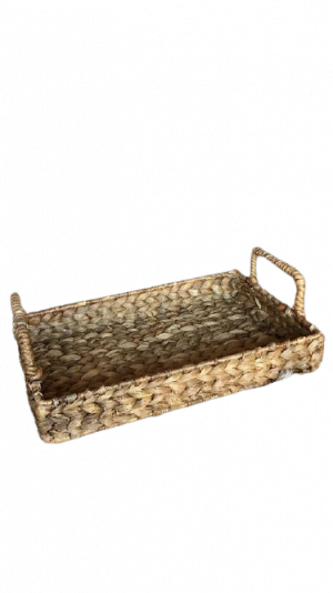 Ractangular tray S