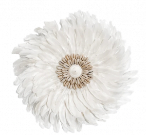 Décoration Mural Plumes Et Coquillages – Shells And Feathers Wall Decoration