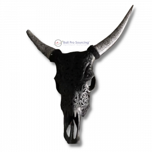 Male Cow’s Skull Horn carved