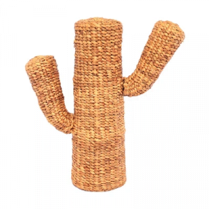 Cactus miniature