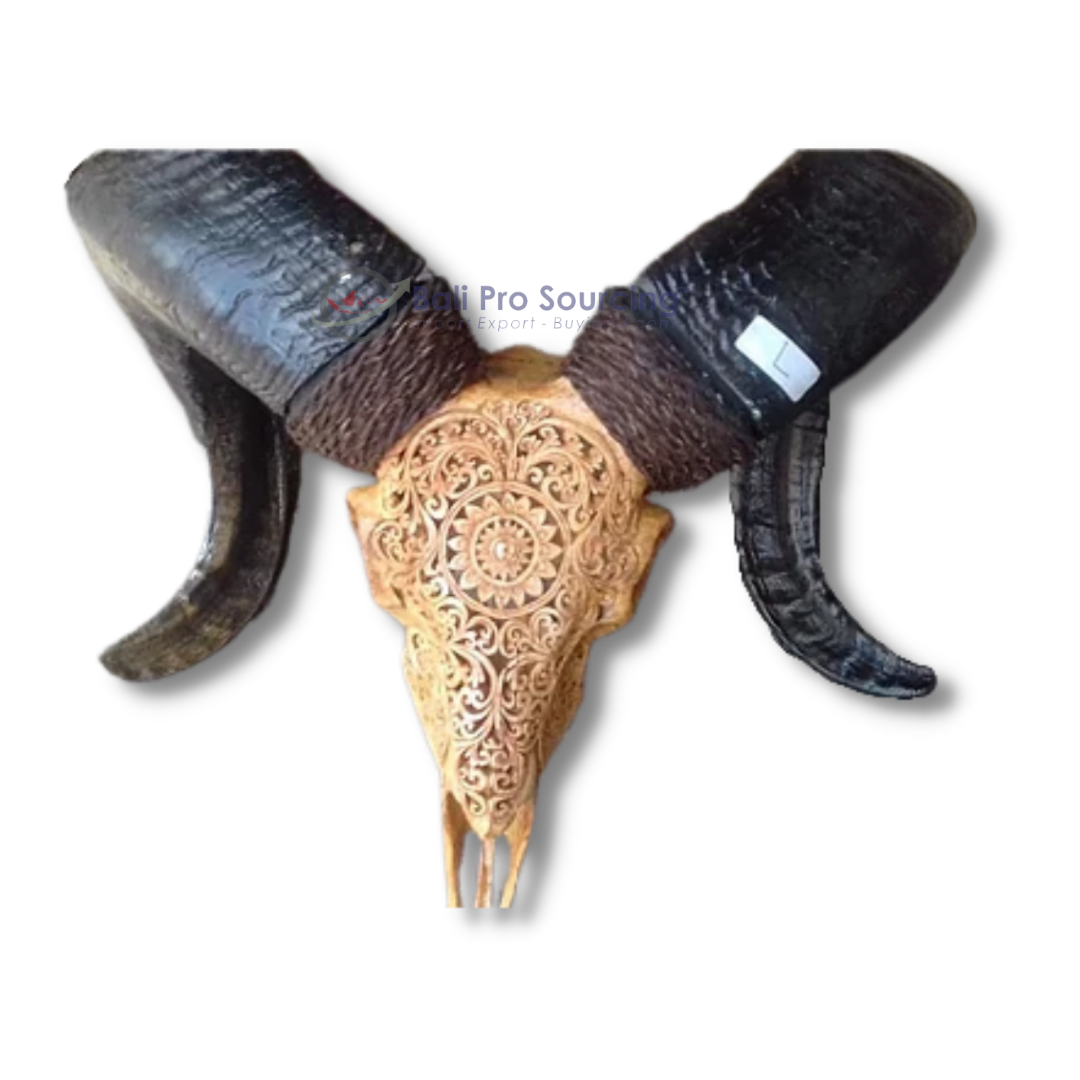 Crâne de mouton