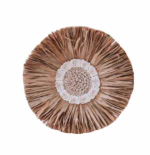 Grass Wall Decor With Sea Shells 4