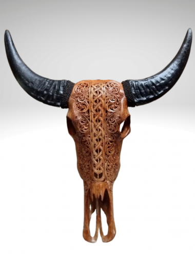 tête de buffle bali