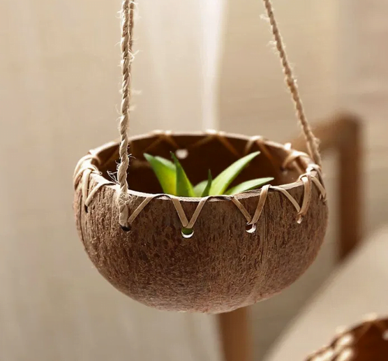 Coconut Plant Pot No.4 - L'atelier A Bali