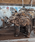 Wooden Mini Brown Elephant