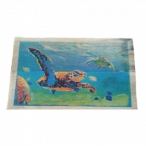 Turtle Painting 3