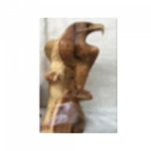 Wooden Eagle