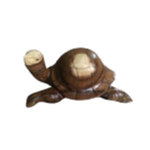 Wooden Turtle