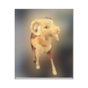 wooden walking goat