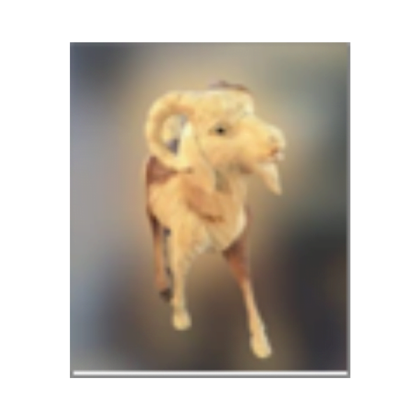 wooden walking goat
