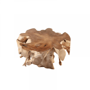 Table basse en racine de Bromo