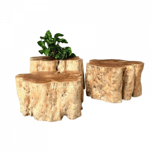 Lychee wooden trunk