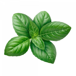 5. BASIL LEAF essential oil