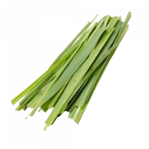 67. PALMAROSA essential oil
