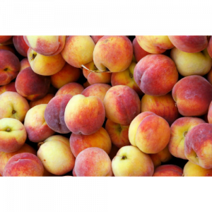 69. PEACH NECTAR essential oil