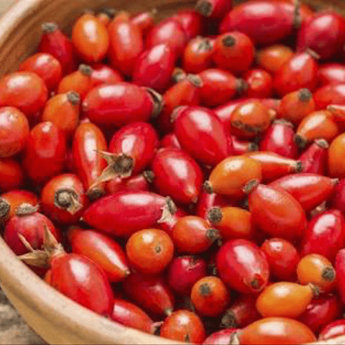 78. ROSEHIP essential oil
