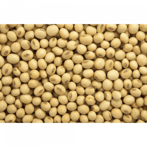 83. SOYBEAN essential oil