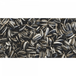 86. SUNFLOWER SEED essential oil
