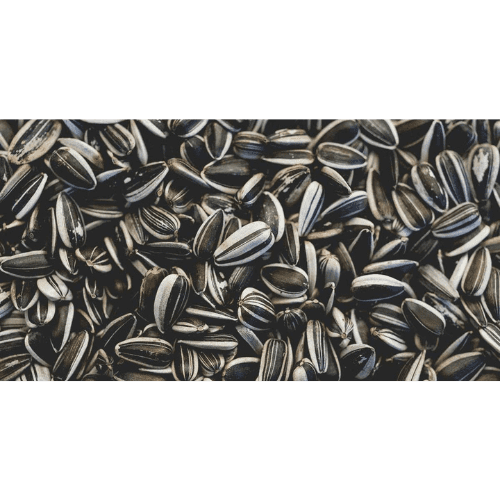86. SUNFLOWER SEED essential oil