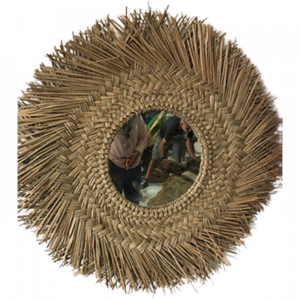 Mendong grass diam 50