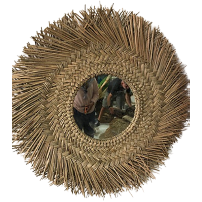 Mendong grass diam 50